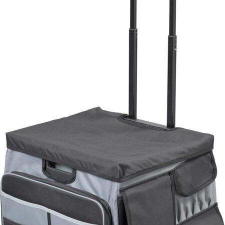 Multifunctional Cart