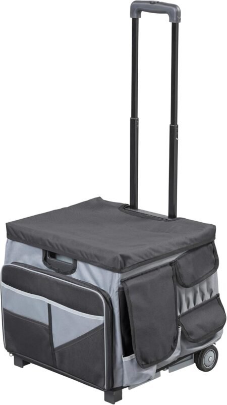 Multifunctional Cart