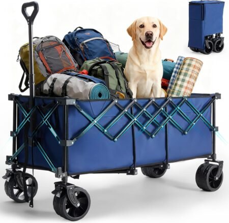 Collapsible Multi-Purpose Cart