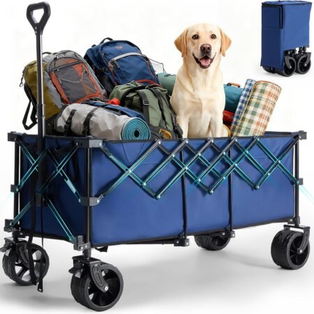 Collapsible Multi-Purpose Cart