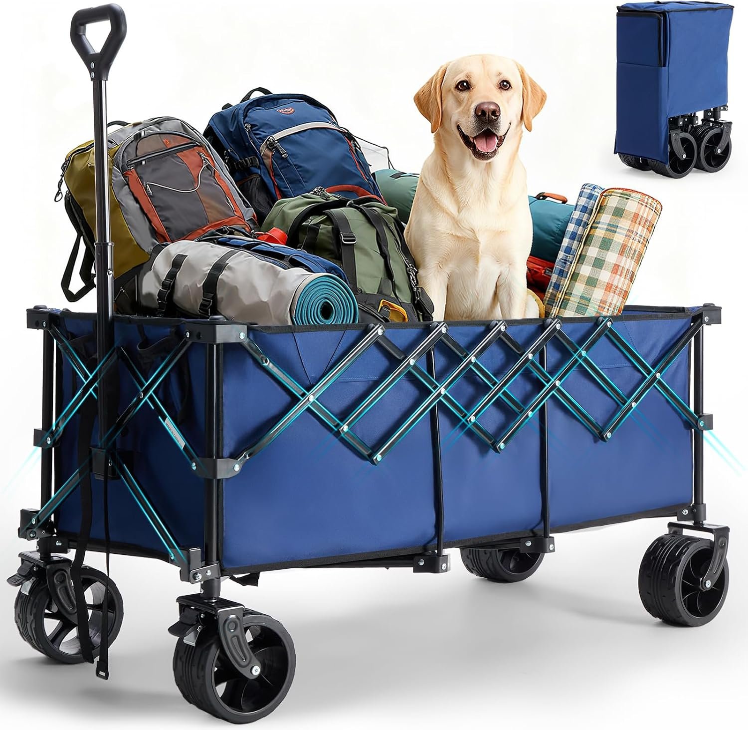 Collapsible Multi-Purpose Cart